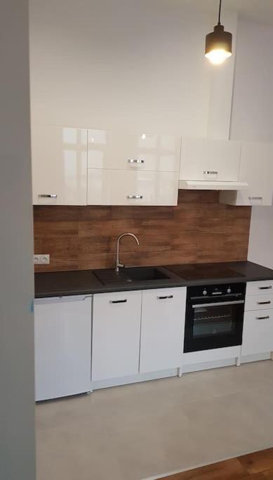 Komfortowy Apartament W Centrum Nowego Sacza Nowy Sącz Εξωτερικό φωτογραφία
